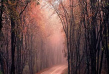 南安普顿主场胜出,积分榜稳固表现:足球魅力再现