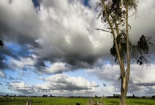 国家队备战亚洲杯,备受看好:新的挑战与希望