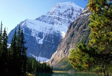 胜利之夜:西班牙队在比赛中展现出色表现