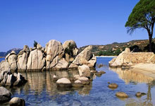 南安普顿主场胜出,积分榜稳固表现:足球魅力再现